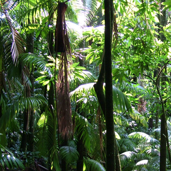 Screen shot 2012-06-30 at 15.55.54