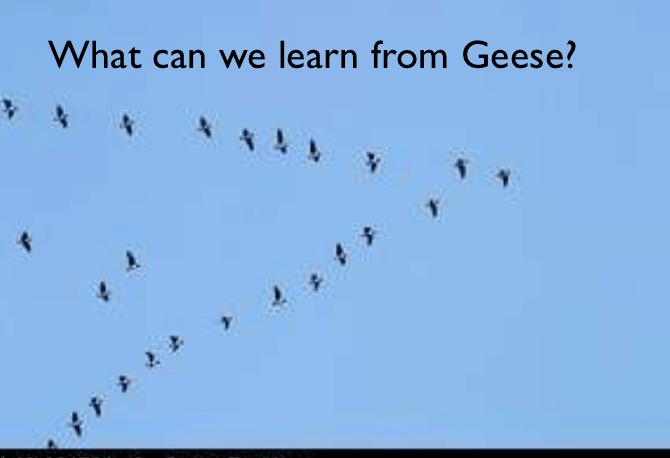 Leadership is a team effort. We all take our turn at the front. 