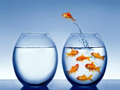 Who is up for a challenge? 