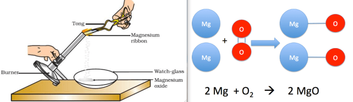 The diagram, the molecular model and the equation