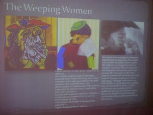 Examples of the Y7 portrait project.