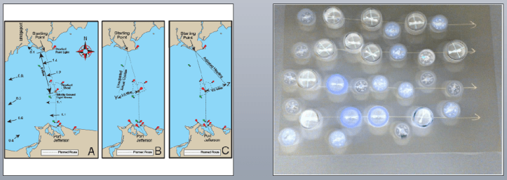 Screen Shot 2015-12-05 at 11.50.07