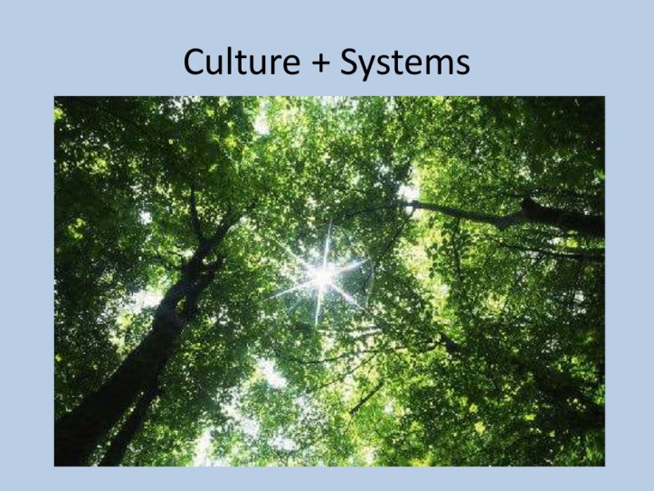 making-cpd-count-7-1024