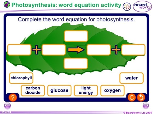 year-9-biology-topic-plants-and-photosynthesis-10-728