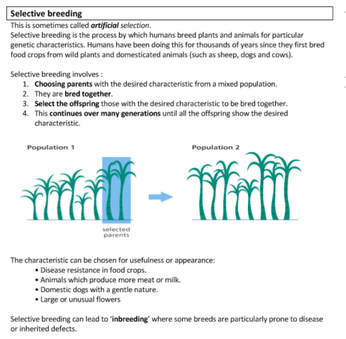 Screen Shot 2018-06-05 at 22.44.11