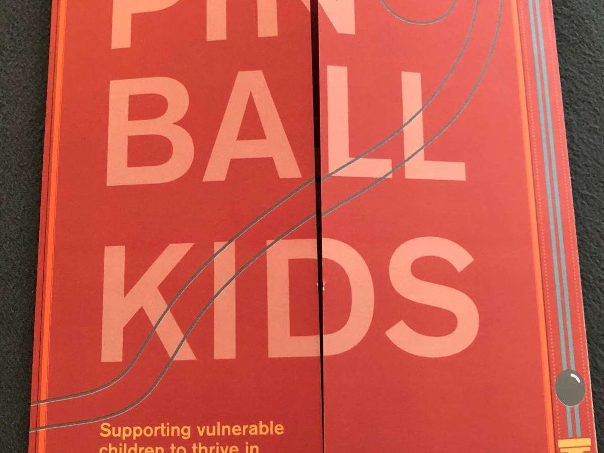 Solutions and reality checks in the exclusion/inclusion debate. #pinballkids