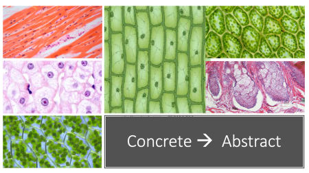 Screenshot 2019-02-05 at 16.43.16