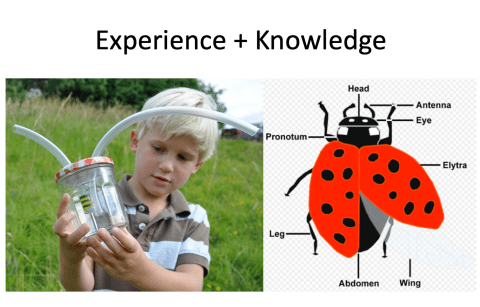 Screenshot 2019-02-08 at 12.07.31.png