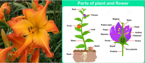 Screenshot 2019-02-08 at 12.11.50.png