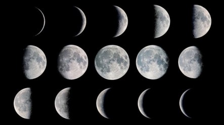 moon-phases-Fred-Espenak-lg-e1464203296249