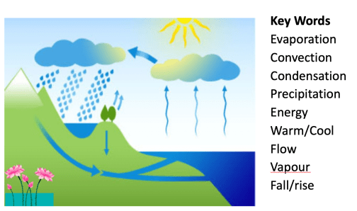 Screenshot 2020-01-11 at 14.25.30