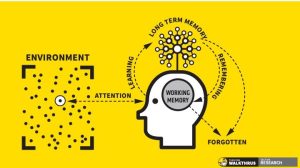 Build Your Cpd Around A Learning Model Teacherhead