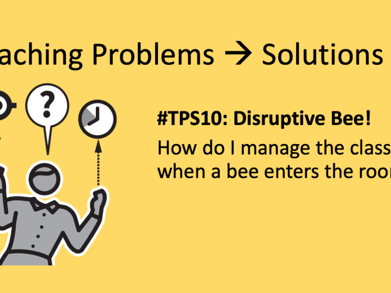 TPS10:  How do I manage the class when a bee enters the room?